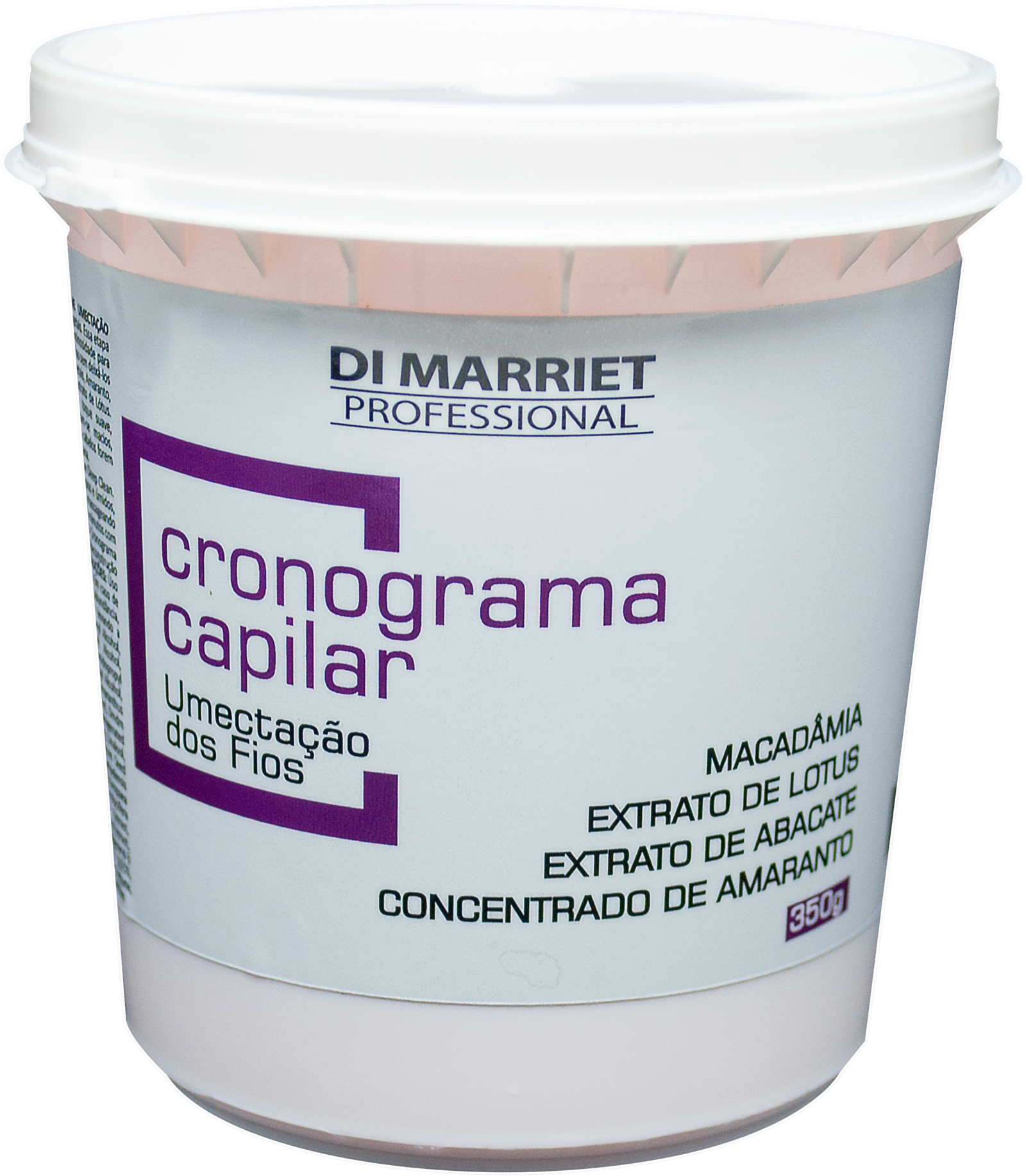 Início 11 cronograma (1)