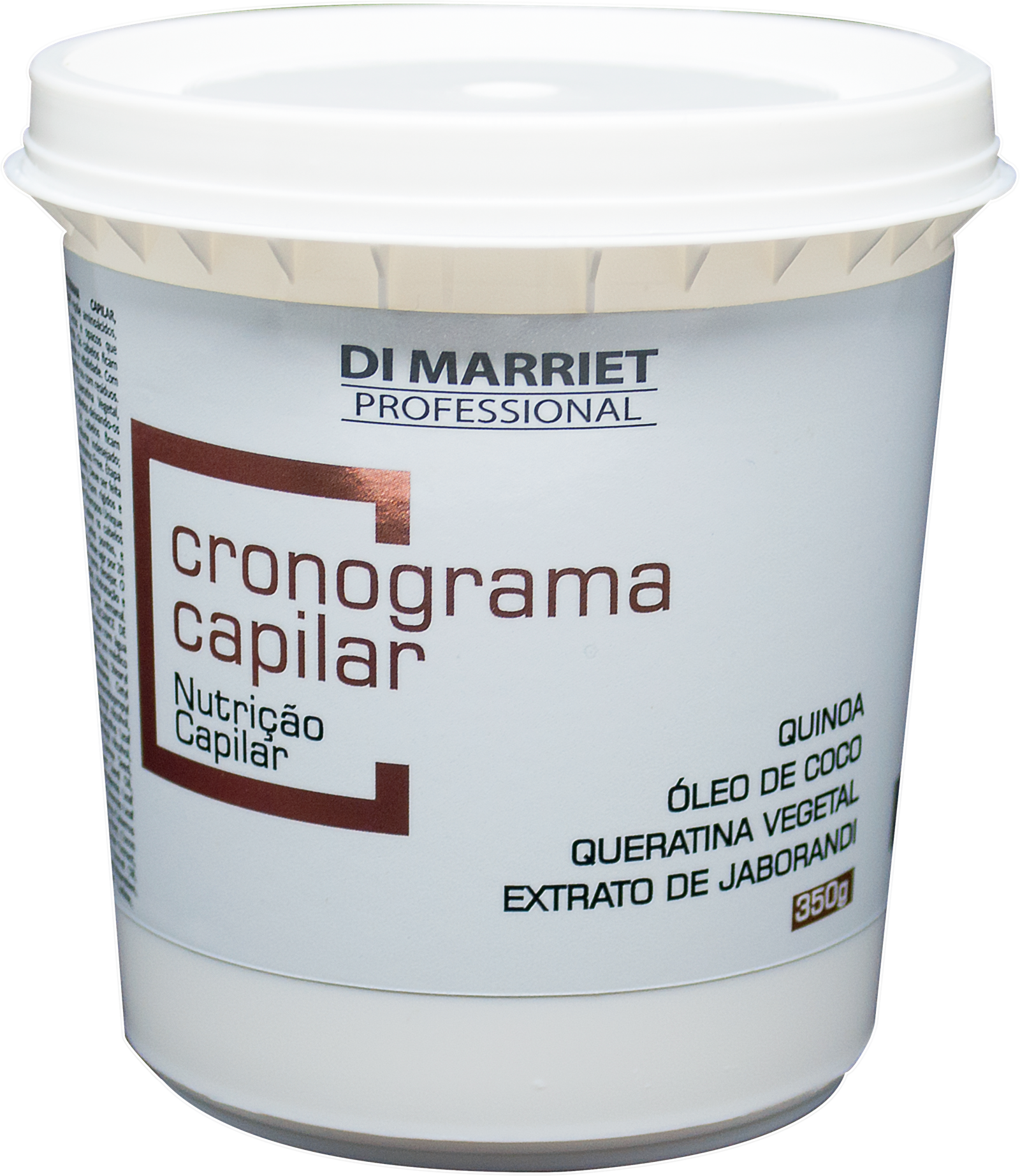 Início 11 cronograma (3)
